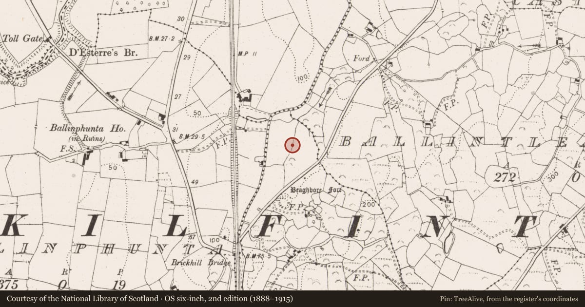 Ordnance Survey six-inch map, 2nd edition (1888–1915) covering the location of Enclosure, Brickhill East, County Clare, with a pin at the register's coordinates