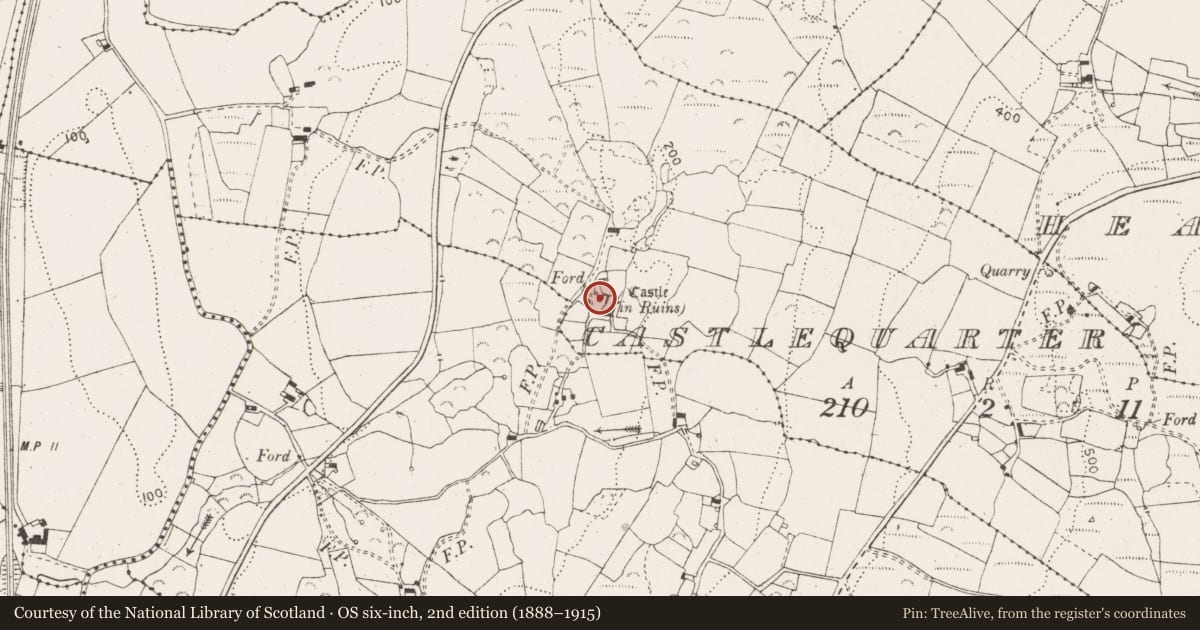 Ordnance Survey six-inch map, 2nd edition (1888–1915) covering the location of Castle - tower house, Castlequarter, County Clare, with a pin at the register's coordinates