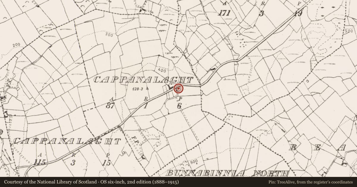 Ordnance Survey six-inch map, 2nd edition (1888–1915) covering the location of Mound, Cappanalaght, County Clare, with a pin at the register's coordinates