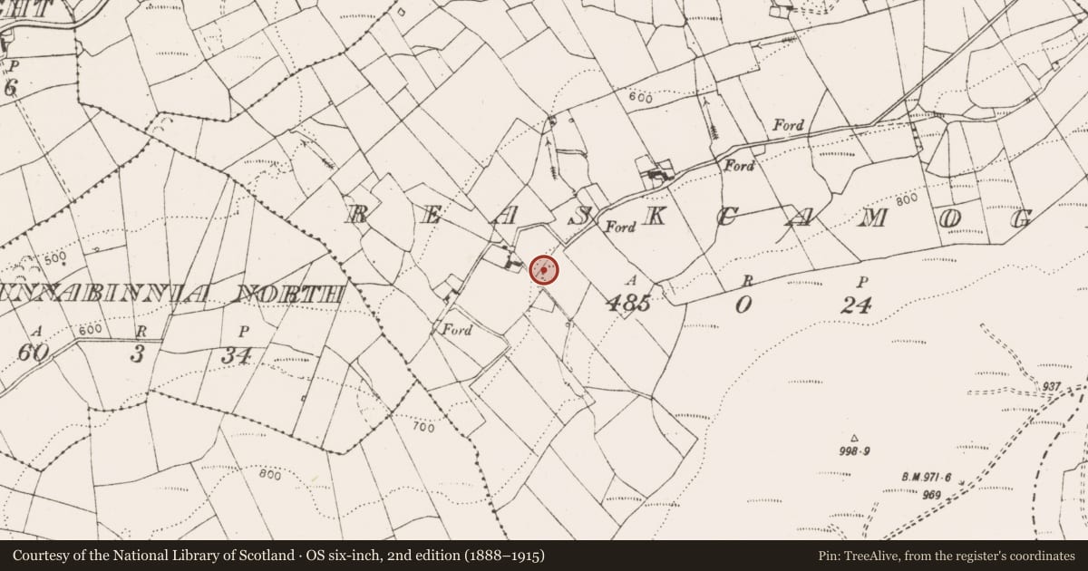 Ordnance Survey six-inch map, 2nd edition (1888–1915) covering the location of Ringfort - unclassified, Reaskcamoge, County Clare, with a pin at the register's coordinates