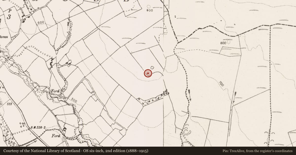 Ordnance Survey six-inch map, 2nd edition (1888–1915) covering the location of Cairn - unclassified, Glennagross, County Clare, with a pin at the register's coordinates