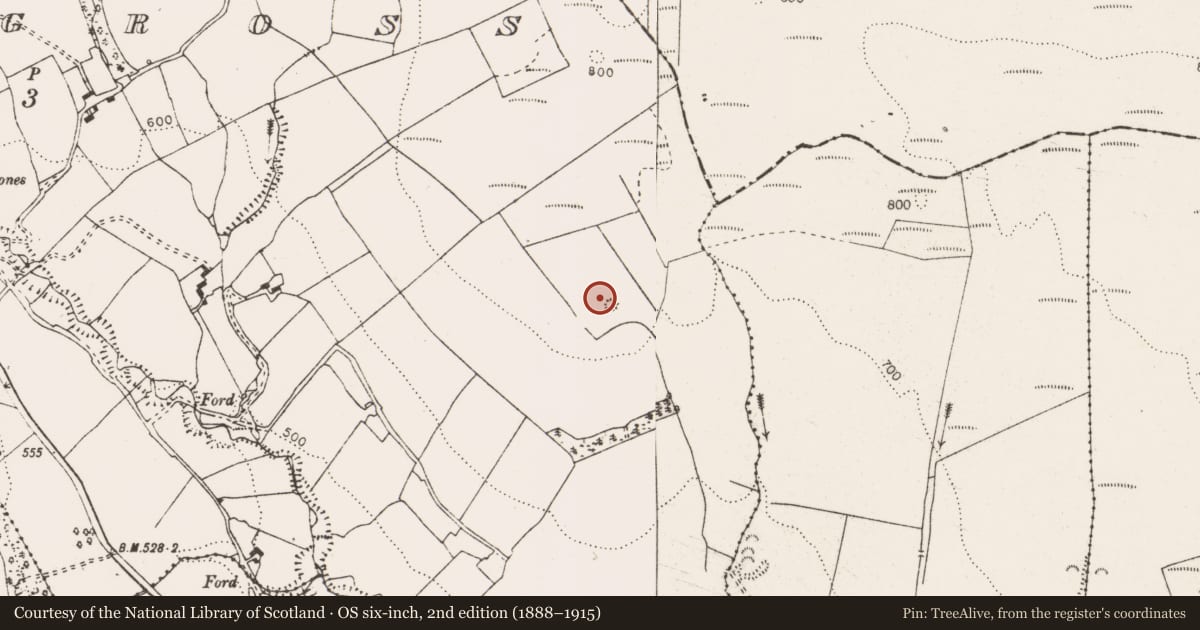 Ordnance Survey six-inch map, 2nd edition (1888–1915) covering the location of Standing stone, Glennagross, County Clare, with a pin at the register's coordinates