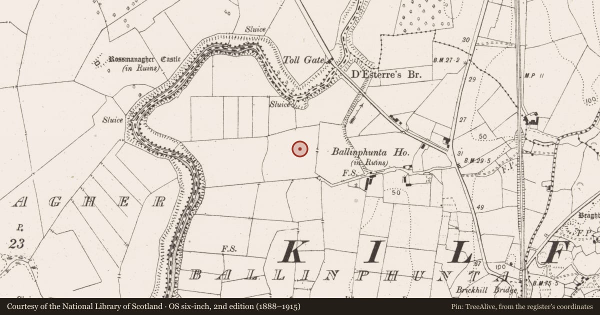 Ordnance Survey six-inch map, 2nd edition (1888–1915) covering the location of Enclosure, Ballinphunta, County Clare, with a pin at the register's coordinates
