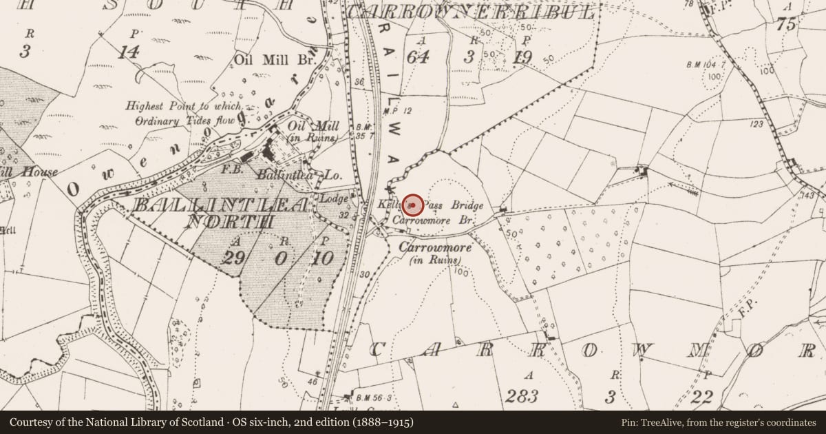 Ordnance Survey six-inch map, 2nd edition (1888–1915) covering the location of Enclosure, Carrowmore, County Clare, with a pin at the register's coordinates
