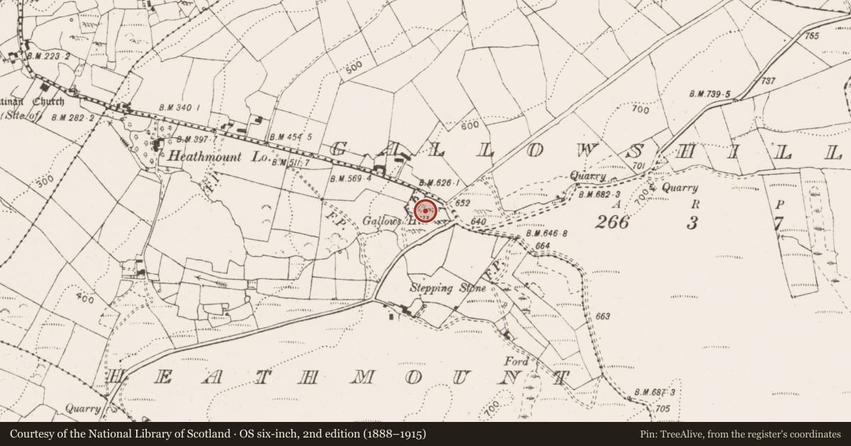 Ordnance Survey six-inch map, 2nd edition (1888–1915) covering the location of Gallows, Gallowshill, Heathmount, County Clare, with a pin at the register's coordinates