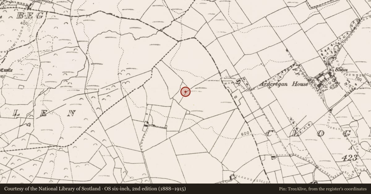 Ordnance Survey six-inch map, 2nd edition (1888–1915) covering the location of Rock art, Coolycasey, County Clare, with a pin at the register's coordinates
