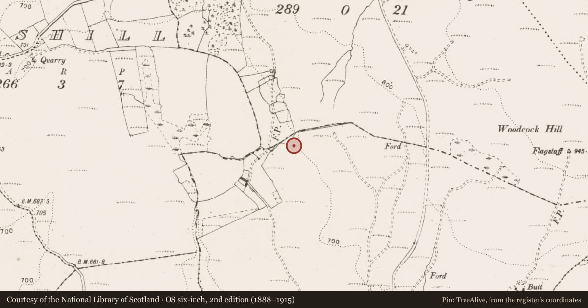 Ordnance Survey six-inch map, 2nd edition (1888–1915) covering the location of Bullaun stone, Woodcockhill, County Clare, with a pin at the register's coordinates