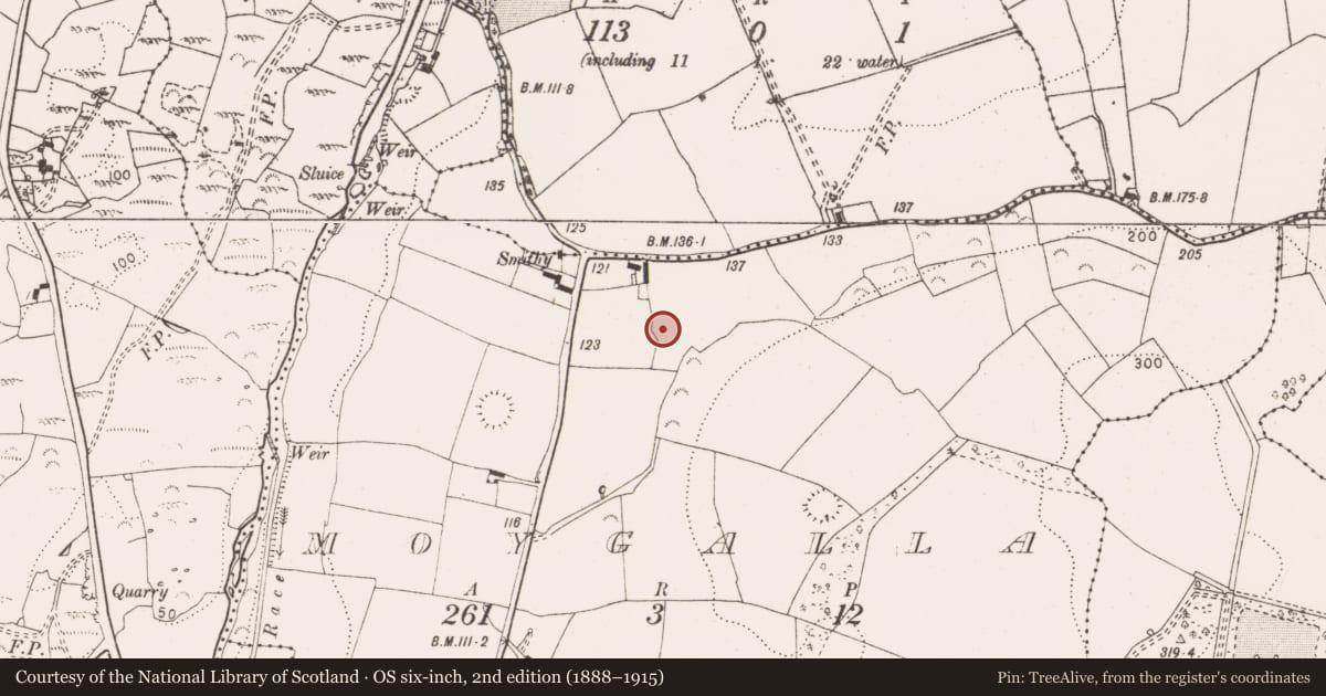 Ordnance Survey six-inch map, 2nd edition (1888–1915) covering the location of Ringfort - rath, Moygalla, County Clare, with a pin at the register's coordinates