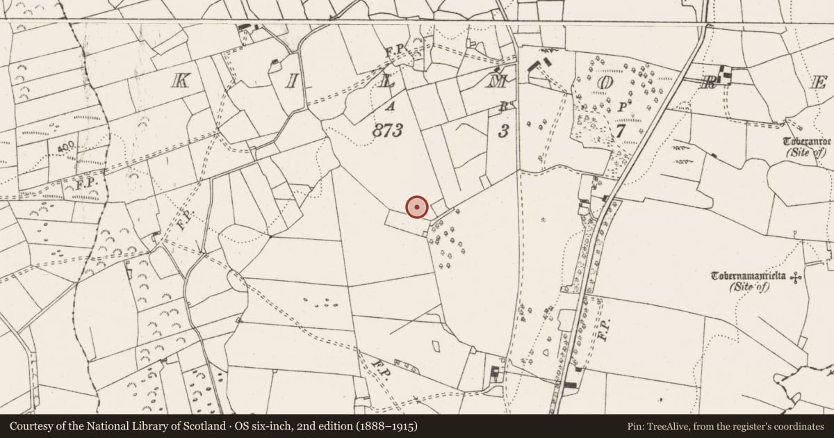 Ordnance Survey six-inch map, 2nd edition (1888–1915) covering the location of Enclosure, Kilmore, County Clare, with a pin at the register's coordinates
