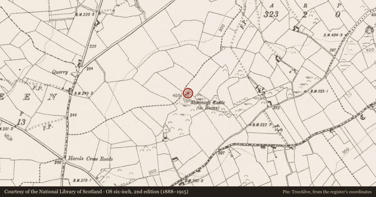 Ordnance Survey six-inch map, 2nd edition (1888–1915) covering the location of Children's burial ground, Ballybrack, County Clare, with a pin at the register's coordinates