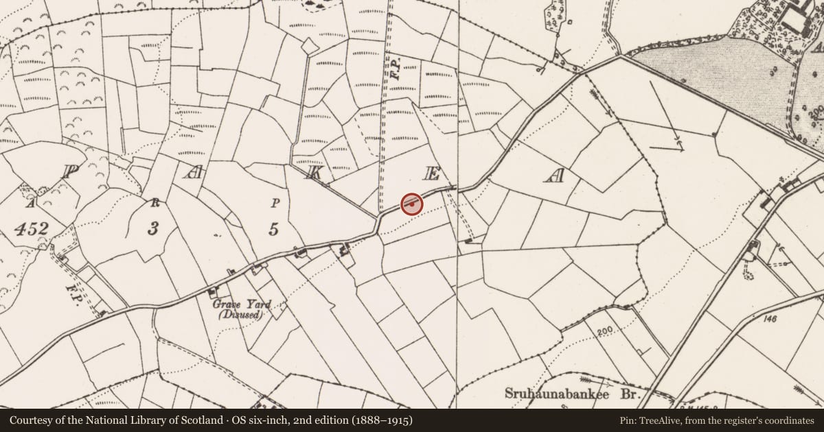 Ordnance Survey six-inch map, 2nd edition (1888–1915) covering the location of Road - road/trackway, County Clare, with a pin at the register's coordinates