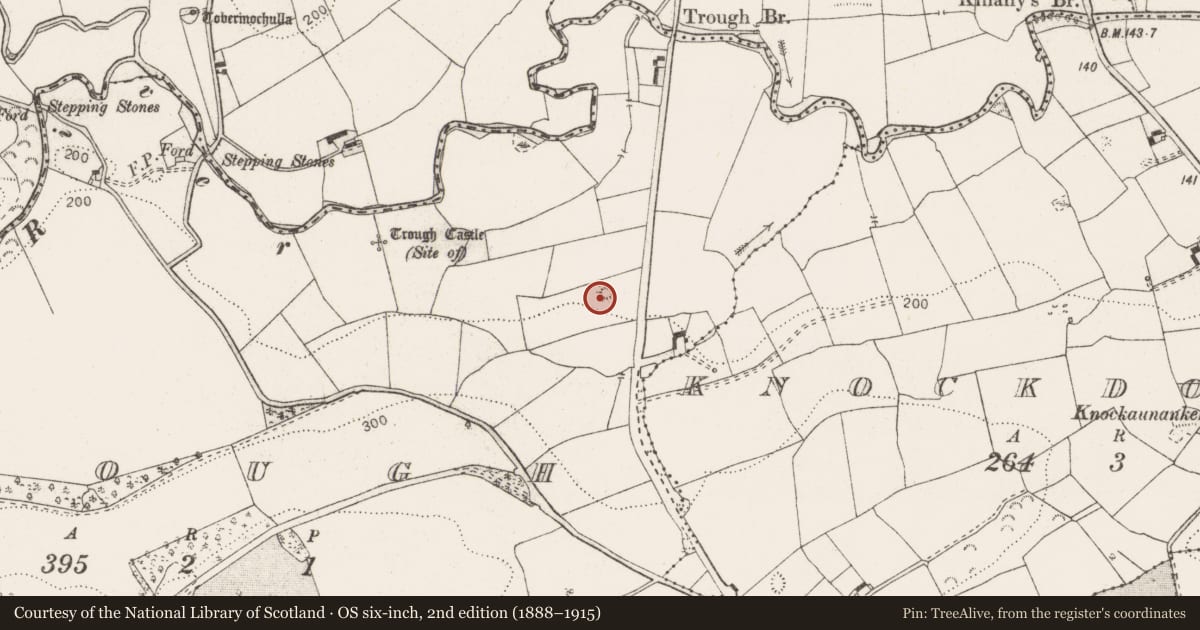 Ordnance Survey six-inch map, 2nd edition (1888–1915) covering the location of Enclosure, Trough, County Clare, with a pin at the register's coordinates