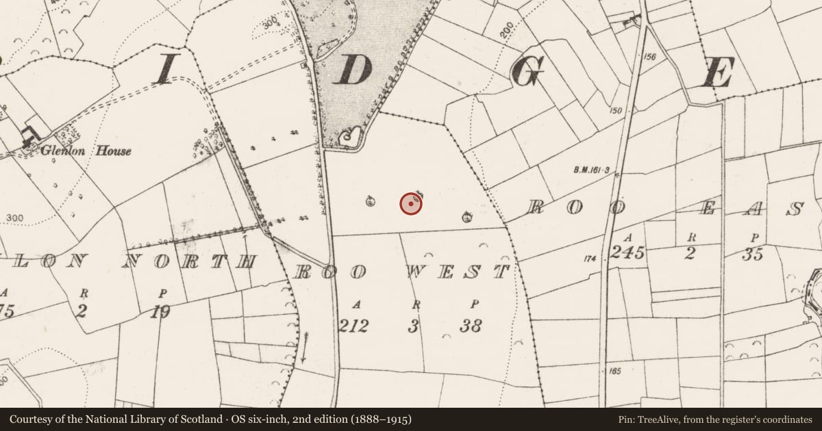 Ordnance Survey six-inch map, 2nd edition (1888–1915) covering the location of Enclosure, Roo West, County Clare, with a pin at the register's coordinates