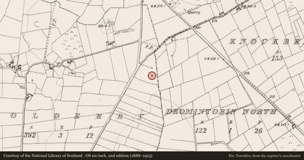 Ordnance Survey six-inch map, 2nd edition (1888–1915) covering the location of Fulacht fia, Coolderry, County Clare, with a pin at the register's coordinates