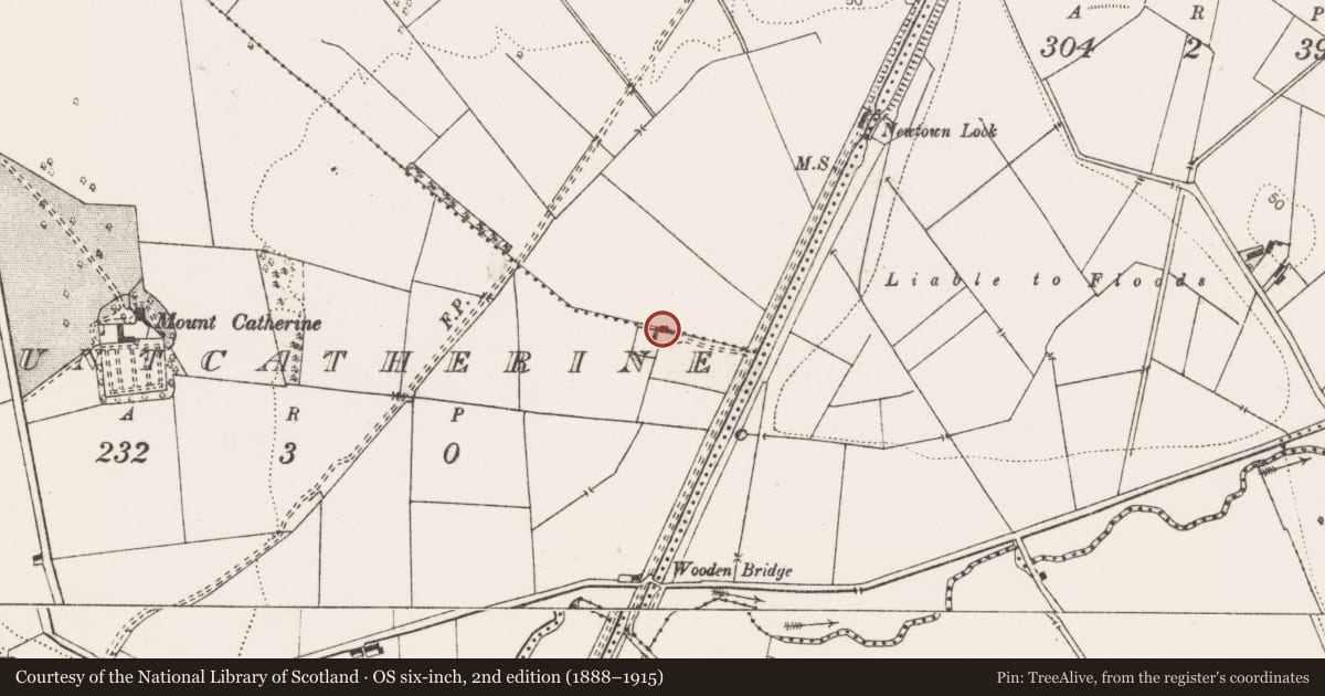 Ordnance Survey six-inch map, 2nd edition (1888–1915) covering the location of Earthwork, Mountcatherine, Newtown, County Clare, with a pin at the register's coordinates