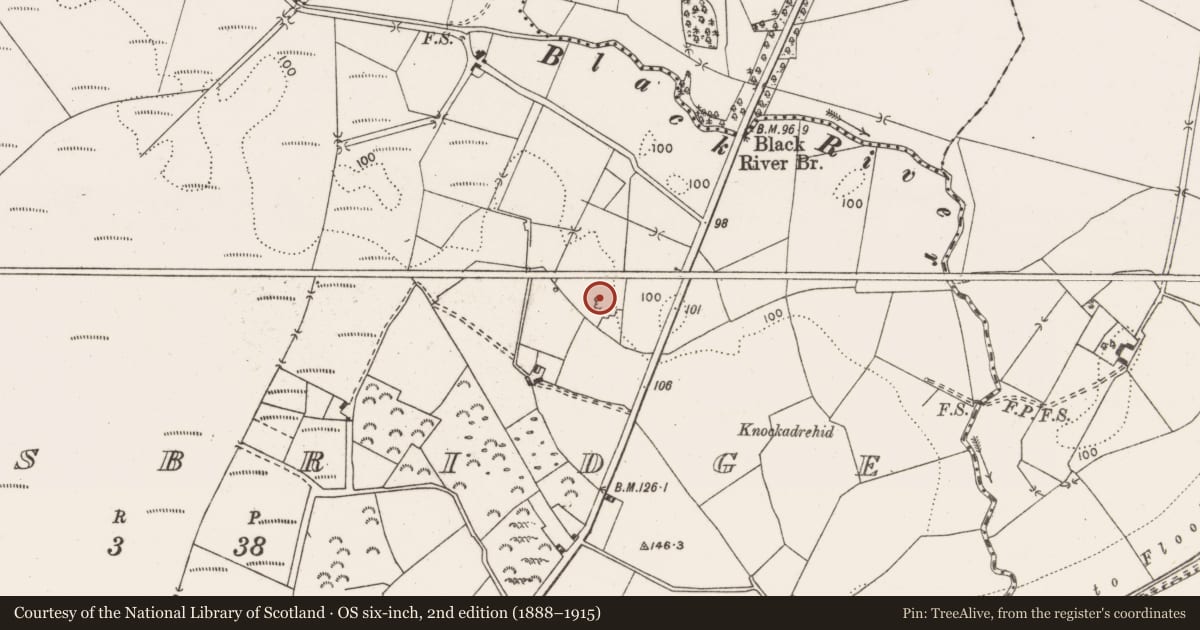 Ordnance Survey six-inch map, 2nd edition (1888–1915) covering the location of Enclosure, O'Brien'S Bridge, County Clare, with a pin at the register's coordinates