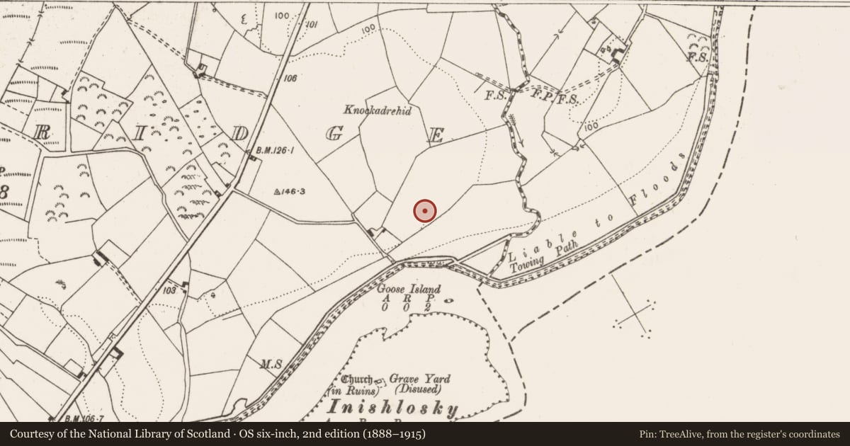 Ordnance Survey six-inch map, 2nd edition (1888–1915) covering the location of Enclosure, O'Brien'S Bridge, County Clare, with a pin at the register's coordinates