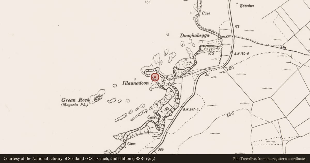 Ordnance Survey six-inch map, 2nd edition (1888–1915) covering the location of Promontory fort - coastal, Moveen East, County Clare, with a pin at the register's coordinates