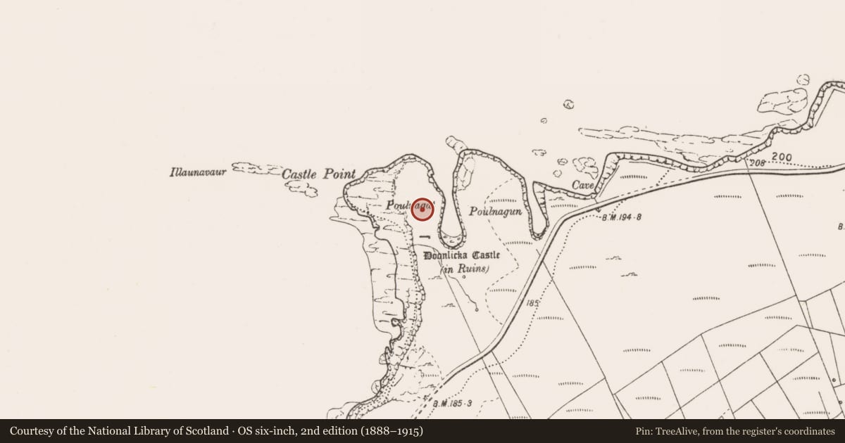 Ordnance Survey six-inch map, 2nd edition (1888–1915) covering the location of Promontory fort - coastal, Moveen West, County Clare, with a pin at the register's coordinates