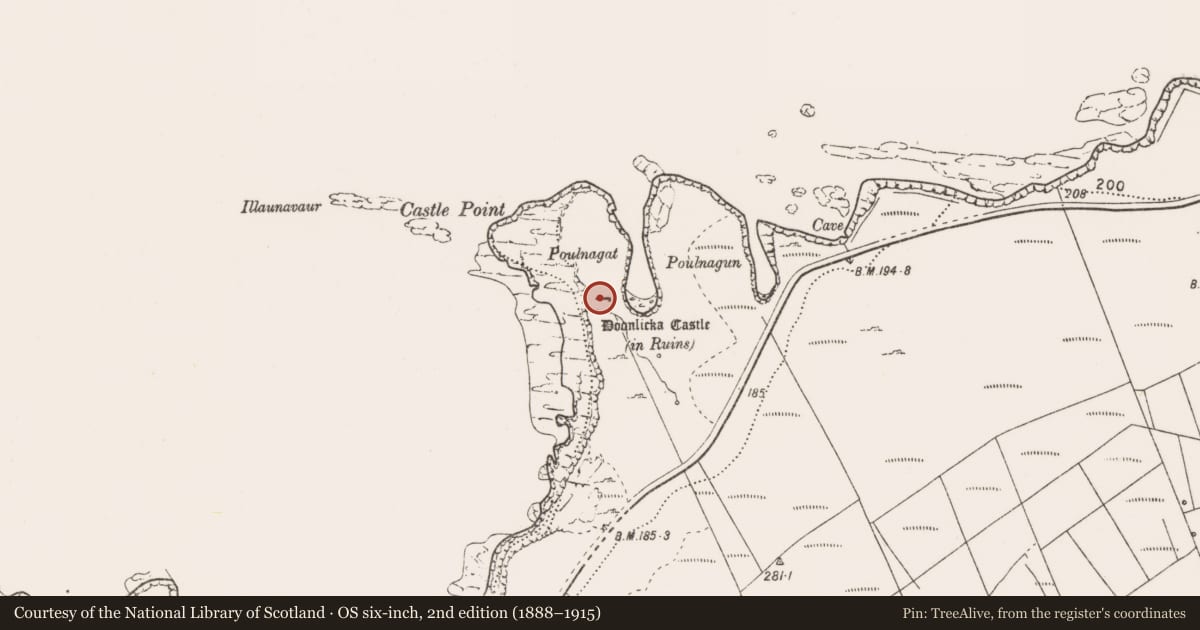 Ordnance Survey six-inch map, 2nd edition (1888–1915) covering the location of Castle - tower house, Moveen West, County Clare, with a pin at the register's coordinates