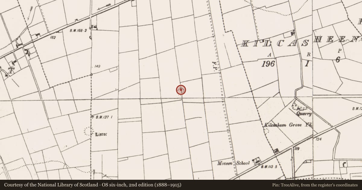 Ordnance Survey six-inch map, 2nd edition (1888–1915) covering the location of Ringfort - rath, Moveen East, County Clare, with a pin at the register's coordinates