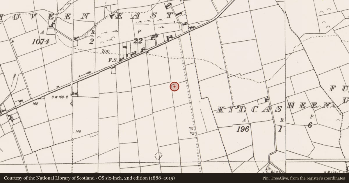 Ordnance Survey six-inch map, 2nd edition (1888–1915) covering the location of Ringfort - rath, Moveen East, County Clare, with a pin at the register's coordinates