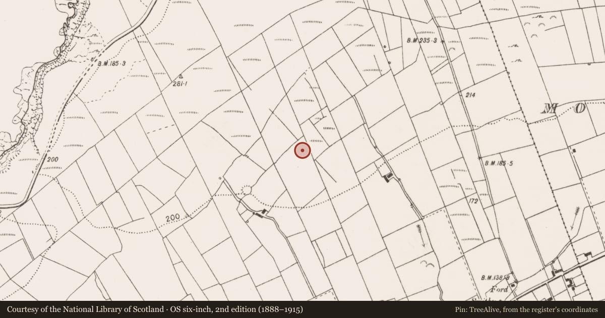 Ordnance Survey six-inch map, 2nd edition (1888–1915) covering the location of Enclosure, Moveen West, County Clare, with a pin at the register's coordinates
