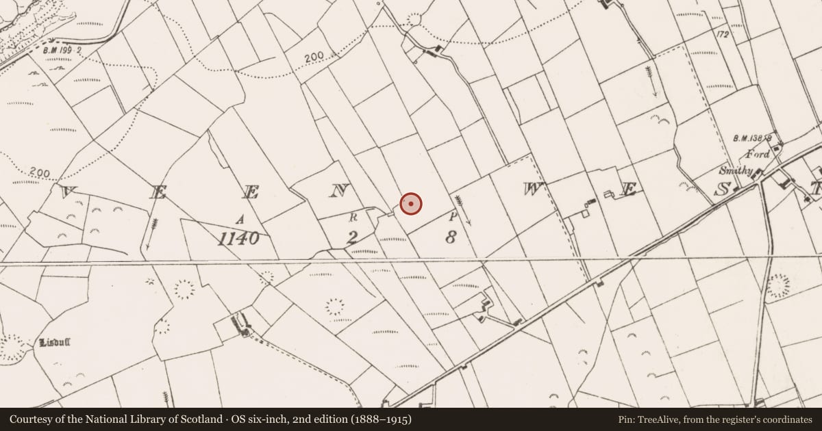 Ordnance Survey six-inch map, 2nd edition (1888–1915) covering the location of Ringfort - rath, Moveen West, County Clare, with a pin at the register's coordinates