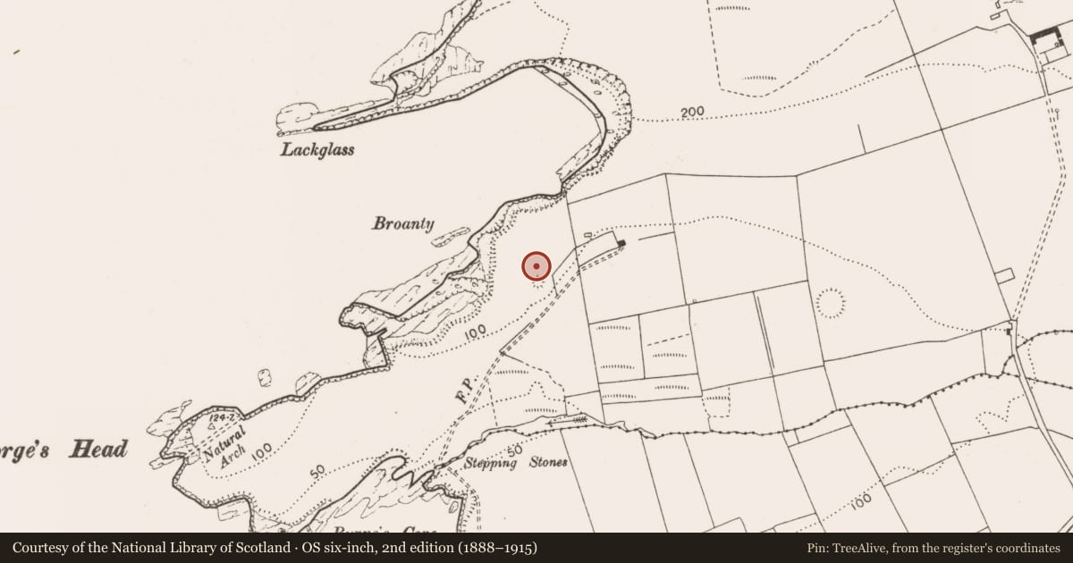 Ordnance Survey six-inch map, 2nd edition (1888–1915) covering the location of Barrow - ring-barrow, Corbally, County Clare, with a pin at the register's coordinates