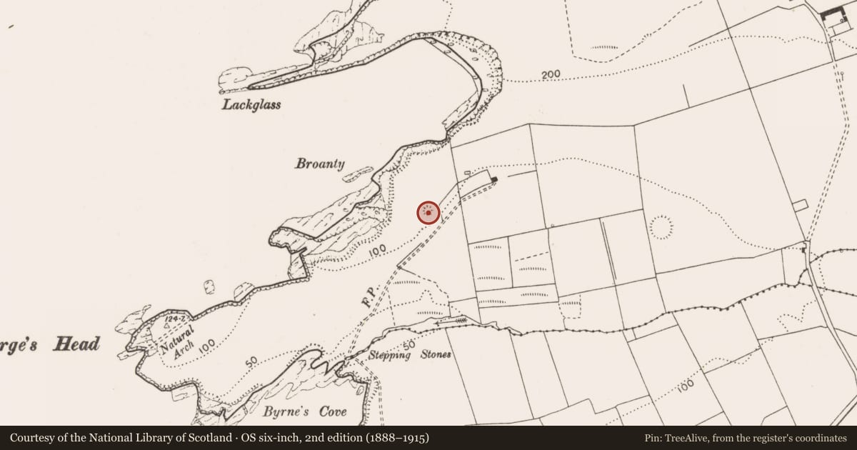 Ordnance Survey six-inch map, 2nd edition (1888–1915) covering the location of Barrow - ring-barrow, Corbally, County Clare, with a pin at the register's coordinates