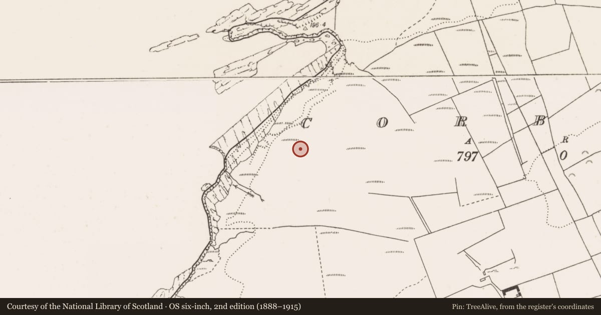 Ordnance Survey six-inch map, 2nd edition (1888–1915) covering the location of Hut site, Corbally, County Clare, with a pin at the register's coordinates