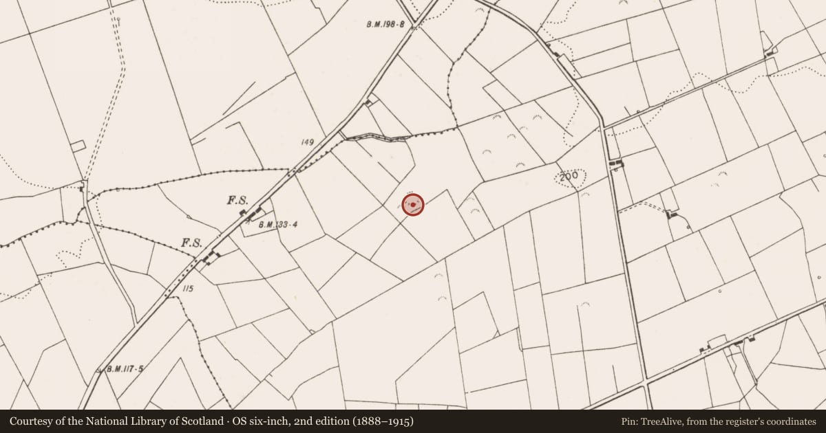 Ordnance Survey six-inch map, 2nd edition (1888–1915) covering the location of Ringfort - rath, Lisluinaghan, County Clare, with a pin at the register's coordinates