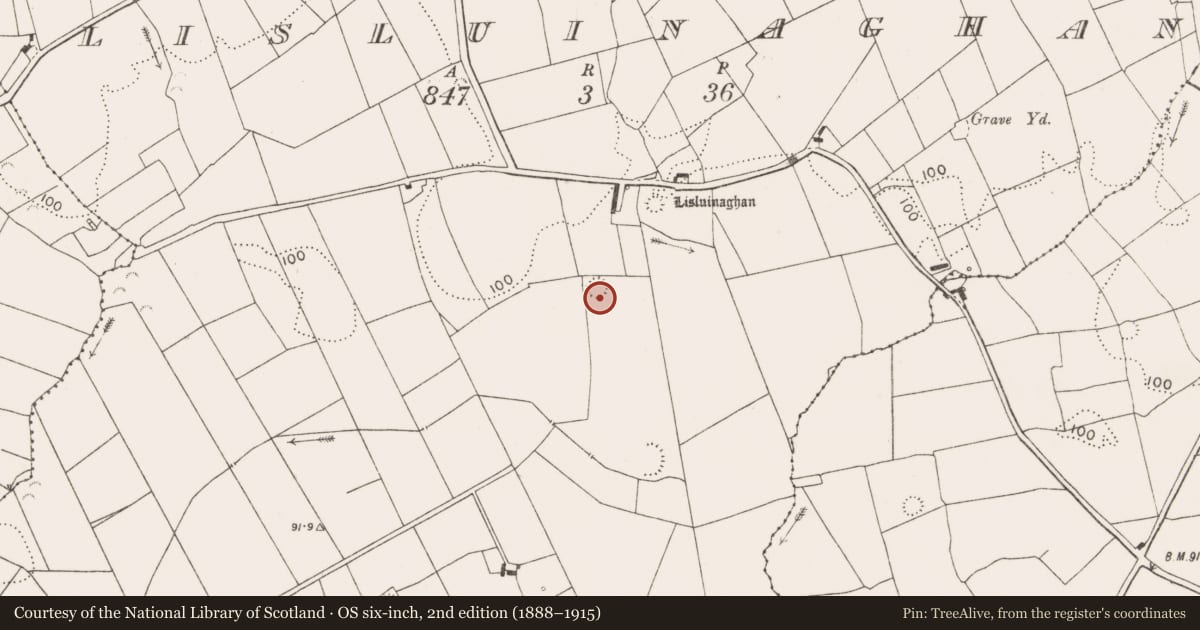 Ordnance Survey six-inch map, 2nd edition (1888–1915) covering the location of Ringfort - rath, Lisluinaghan, County Clare, with a pin at the register's coordinates