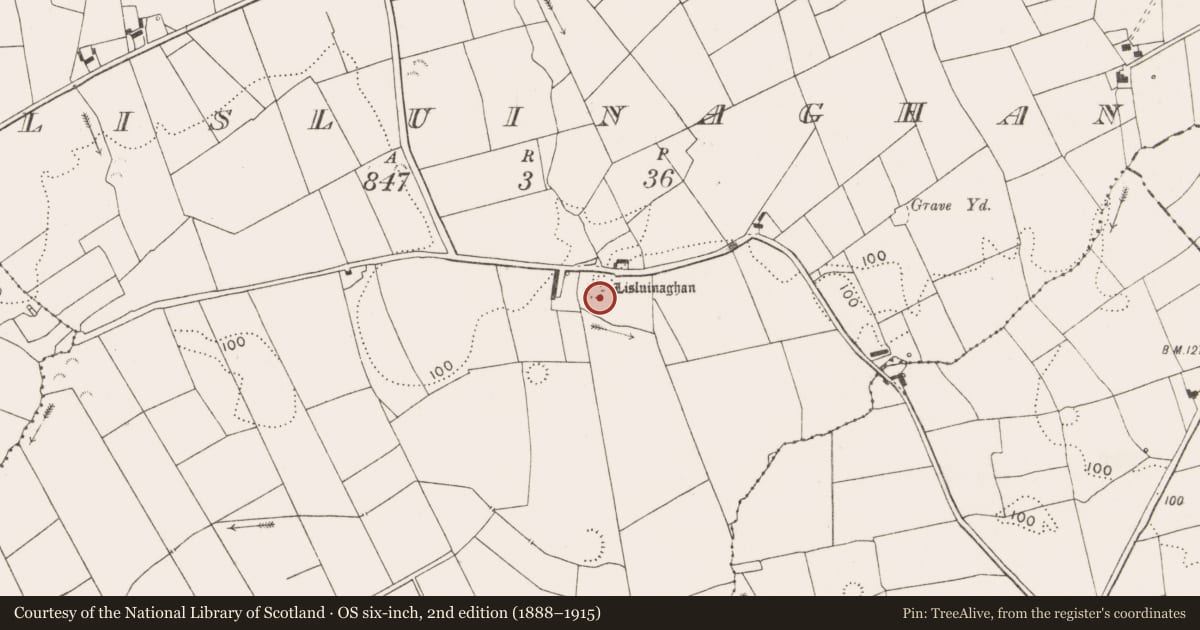 Ordnance Survey six-inch map, 2nd edition (1888–1915) covering the location of Ringfort - rath, Lisluinaghan, County Clare, with a pin at the register's coordinates