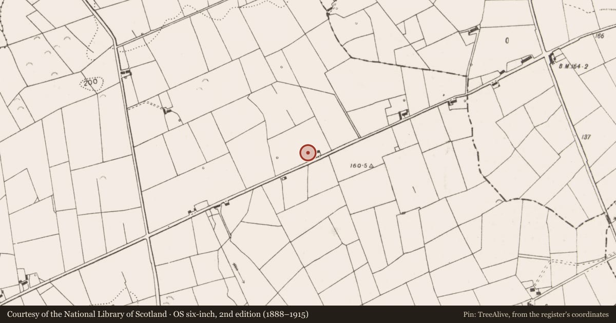 Ordnance Survey six-inch map, 2nd edition (1888–1915) covering the location of Quarry, Lisluinaghan, County Clare, with a pin at the register's coordinates