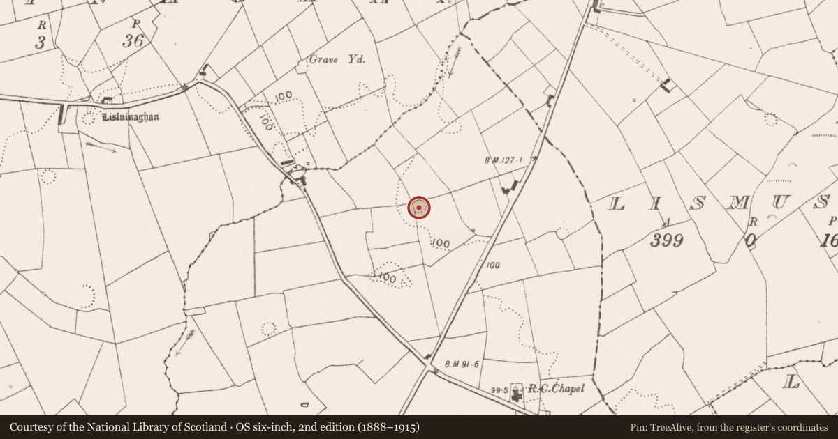 Ordnance Survey six-inch map, 2nd edition (1888–1915) covering the location of Ringfort - rath, Lisdeen, County Clare, with a pin at the register's coordinates