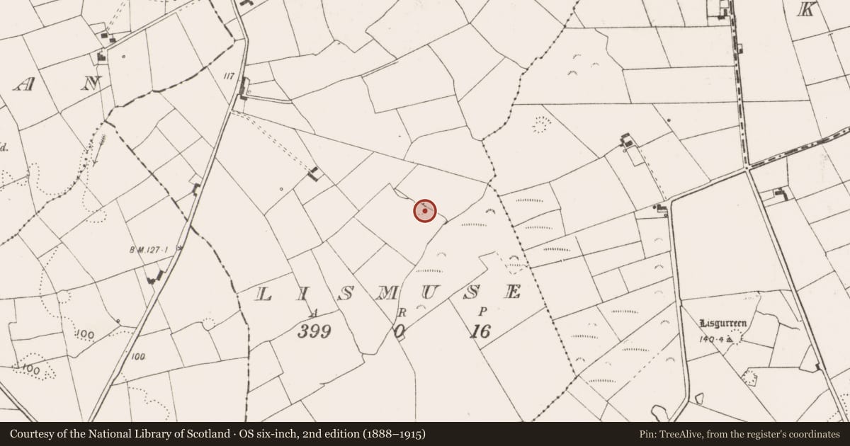 Ordnance Survey six-inch map, 2nd edition (1888–1915) covering the location of Ringfort - rath, Lismuse, County Clare, with a pin at the register's coordinates