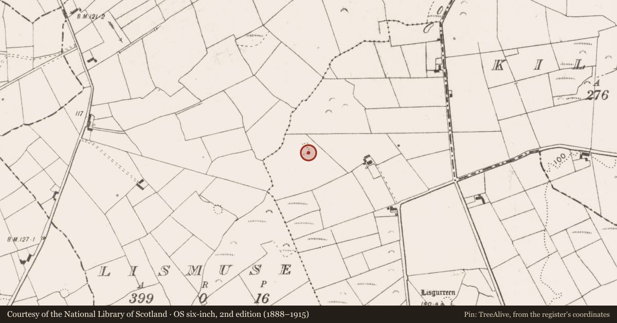 Ordnance Survey six-inch map, 2nd edition (1888–1915) covering the location of Ringfort - rath, Lisgurreen, County Clare, with a pin at the register's coordinates