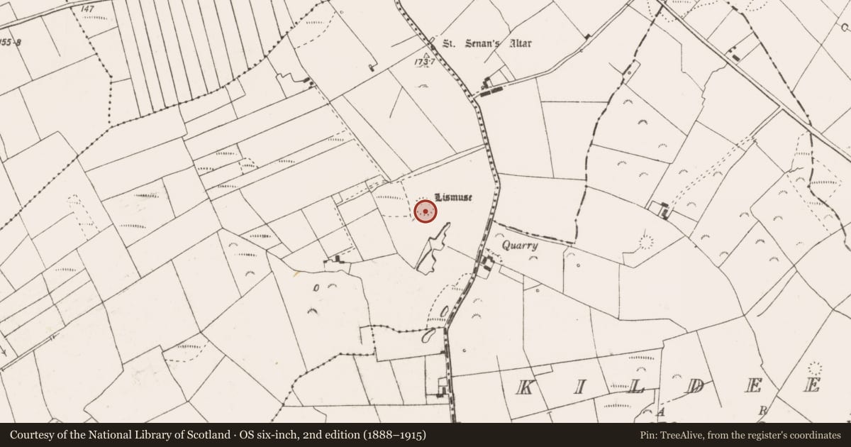 Ordnance Survey six-inch map, 2nd edition (1888–1915) covering the location of Ringfort - rath, Lismuse, County Clare, with a pin at the register's coordinates