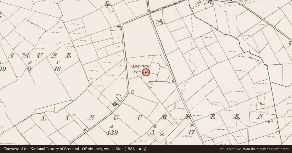 Ordnance Survey six-inch map, 2nd edition (1888–1915) covering the location of Ringfort - rath, Lisgurreen, County Clare, with a pin at the register's coordinates