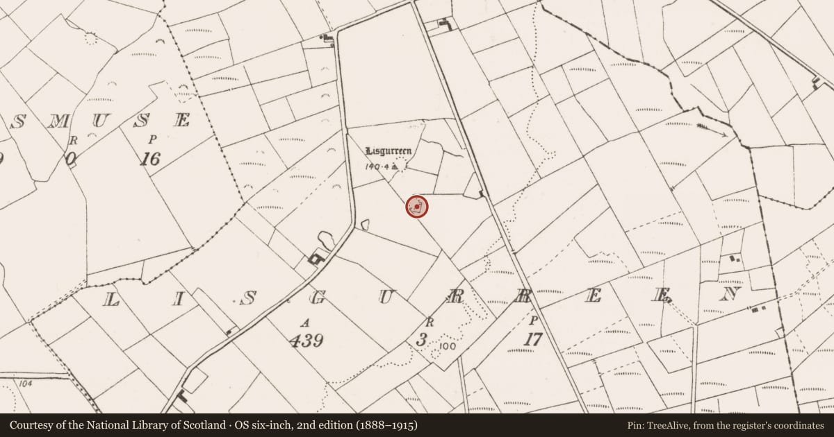 Ordnance Survey six-inch map, 2nd edition (1888–1915) covering the location of Ringfort - rath, Lisgurreen, County Clare, with a pin at the register's coordinates