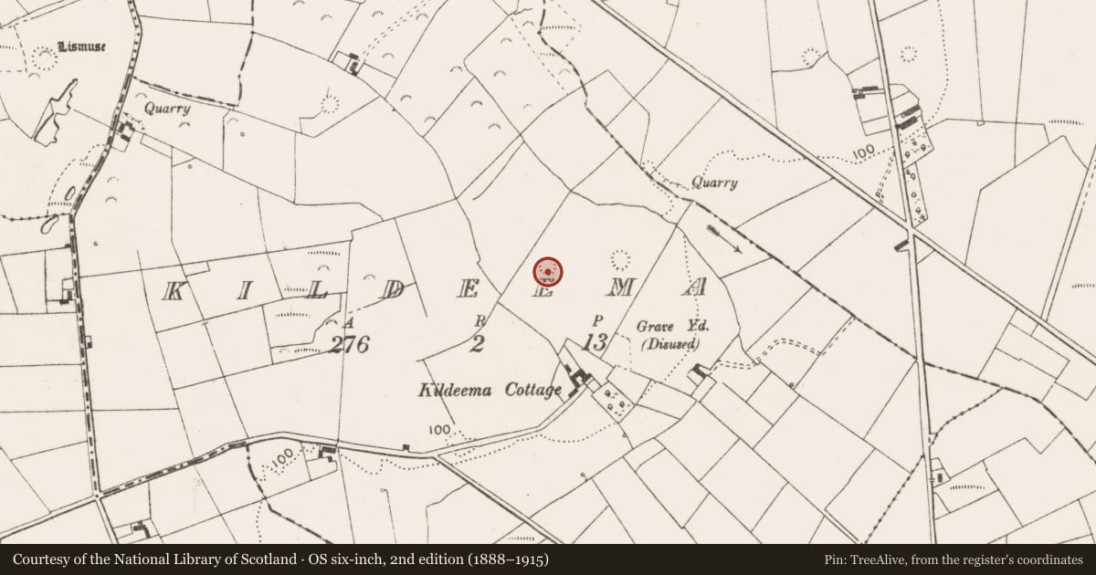 Ordnance Survey six-inch map, 2nd edition (1888–1915) covering the location of Ringfort - rath, Kildeema, County Clare, with a pin at the register's coordinates