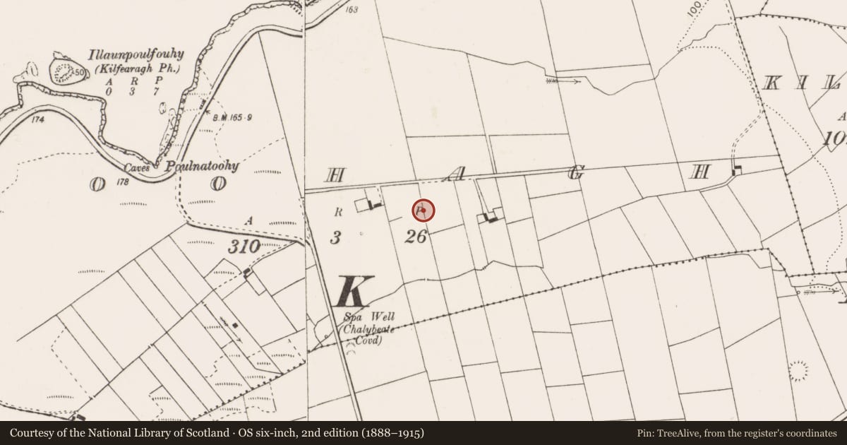 Ordnance Survey six-inch map, 2nd edition (1888–1915) covering the location of Quarry, Foohagh, County Clare, with a pin at the register's coordinates