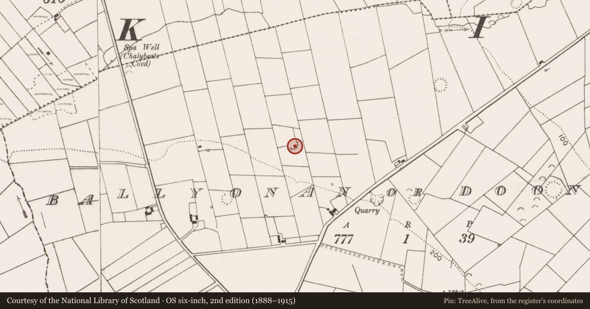 Ordnance Survey six-inch map, 2nd edition (1888–1915) covering the location of Ringfort - rath, Ballyonan Or Doonaghboy, County Clare, with a pin at the register's coordinates