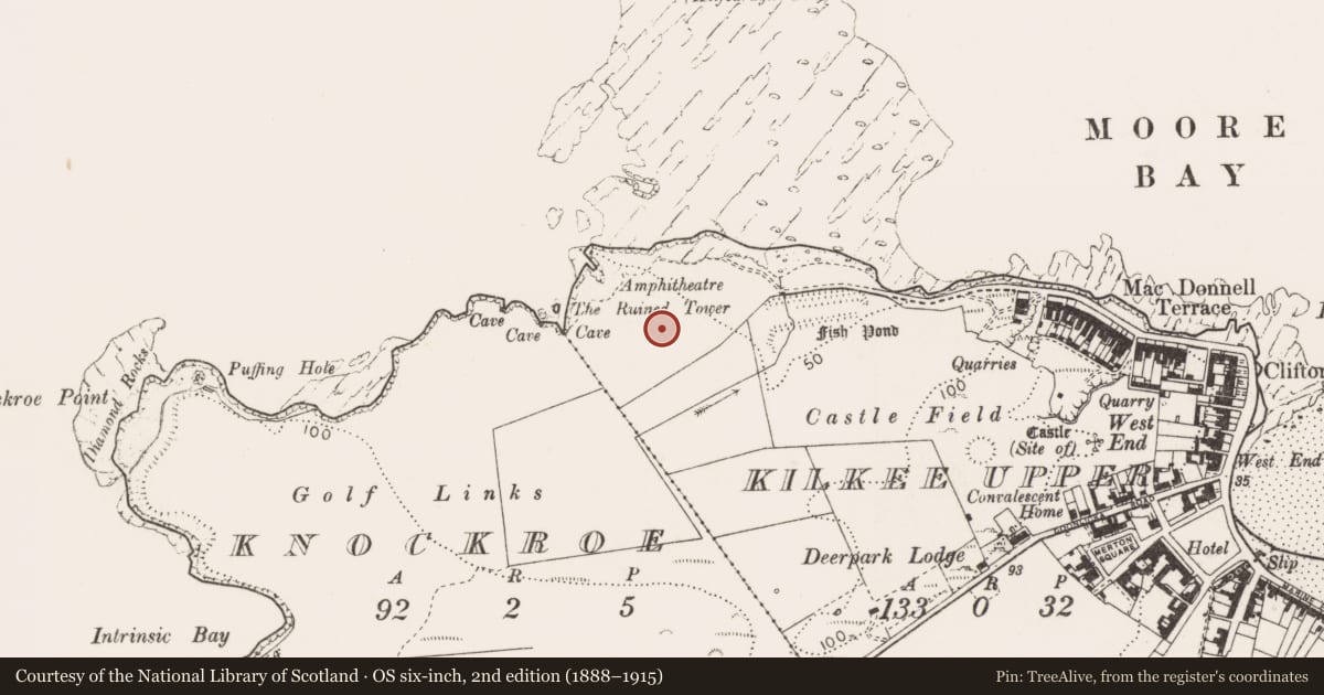 Ordnance Survey six-inch map, 2nd edition (1888–1915) covering the location of Structure, Kilkee Upper, County Clare, with a pin at the register's coordinates