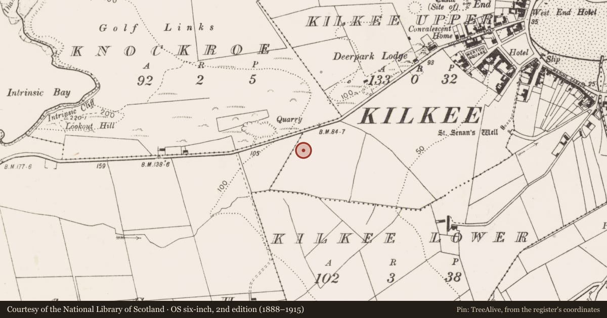 Ordnance Survey six-inch map, 2nd edition (1888–1915) covering the location of Earthwork, Kilkee Upper, County Clare, with a pin at the register's coordinates