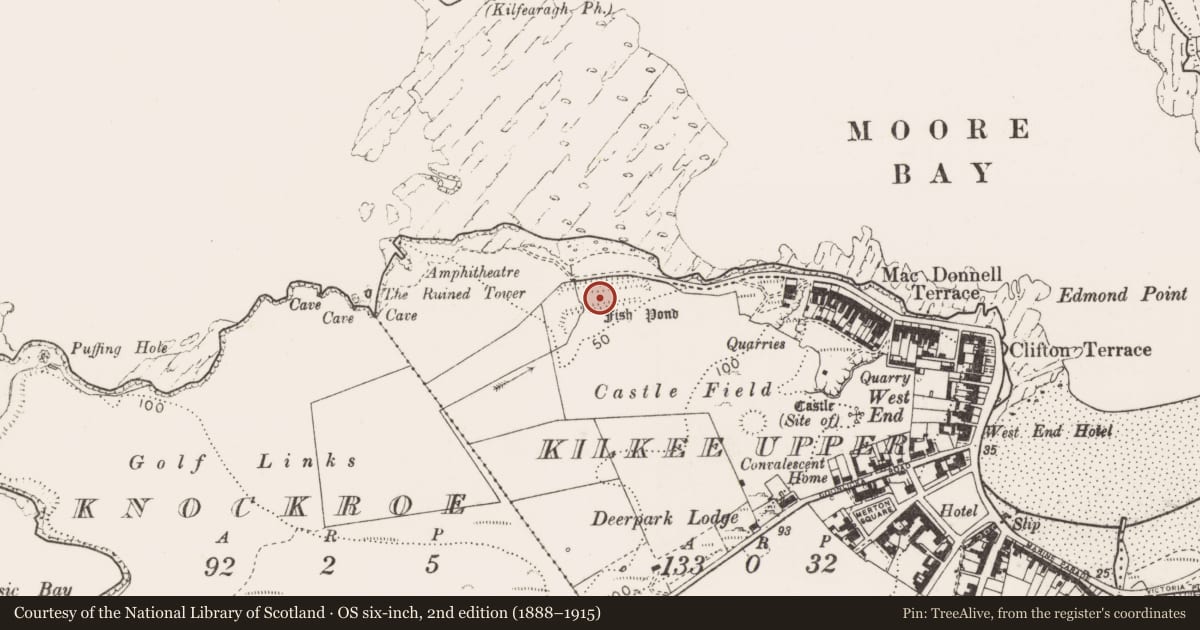 Ordnance Survey six-inch map, 2nd edition (1888–1915) covering the location of Fish-pond, Kilkee Upper, County Clare, with a pin at the register's coordinates