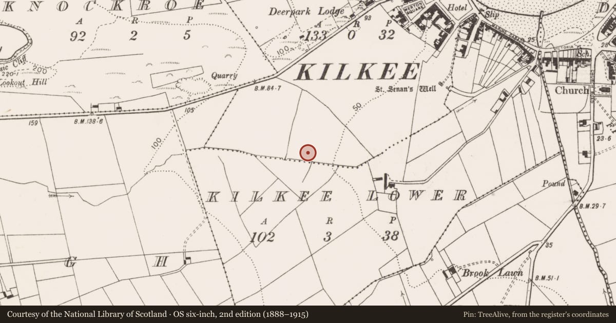 Ordnance Survey six-inch map, 2nd edition (1888–1915) covering the location of Ringfort - rath, Kilkee Upper, County Clare, with a pin at the register's coordinates