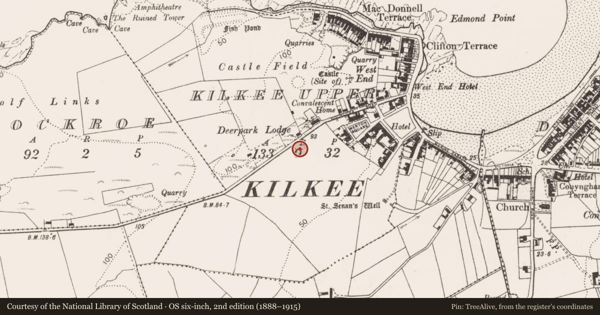 Ordnance Survey six-inch map, 2nd edition (1888–1915) covering the location of Burial ground, Kilkee Upper, County Clare, with a pin at the register's coordinates