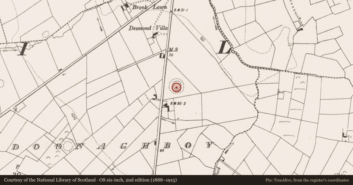 Ordnance Survey six-inch map, 2nd edition (1888–1915) covering the location of Ringfort - rath, Ballyonan Or Doonaghboy, County Clare, with a pin at the register's coordinates